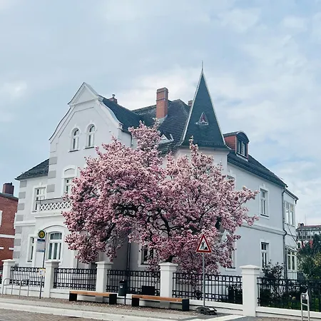 Boutique تورجاو