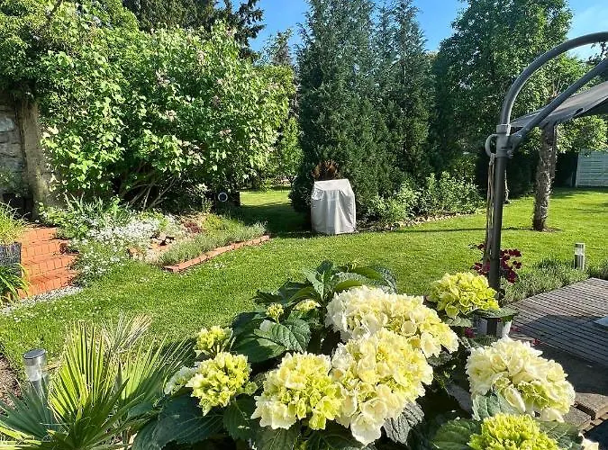 Boutique * تورجاو