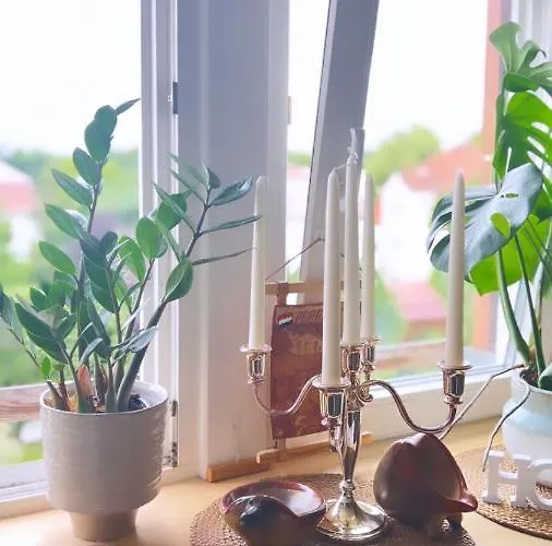 Boutique تورجاو