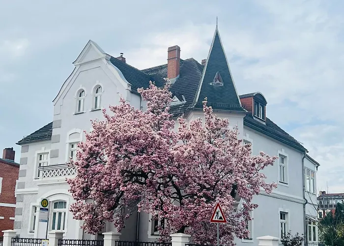 Boutique تورجاو